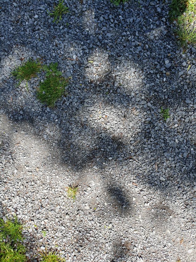 photo of face shape in shadow