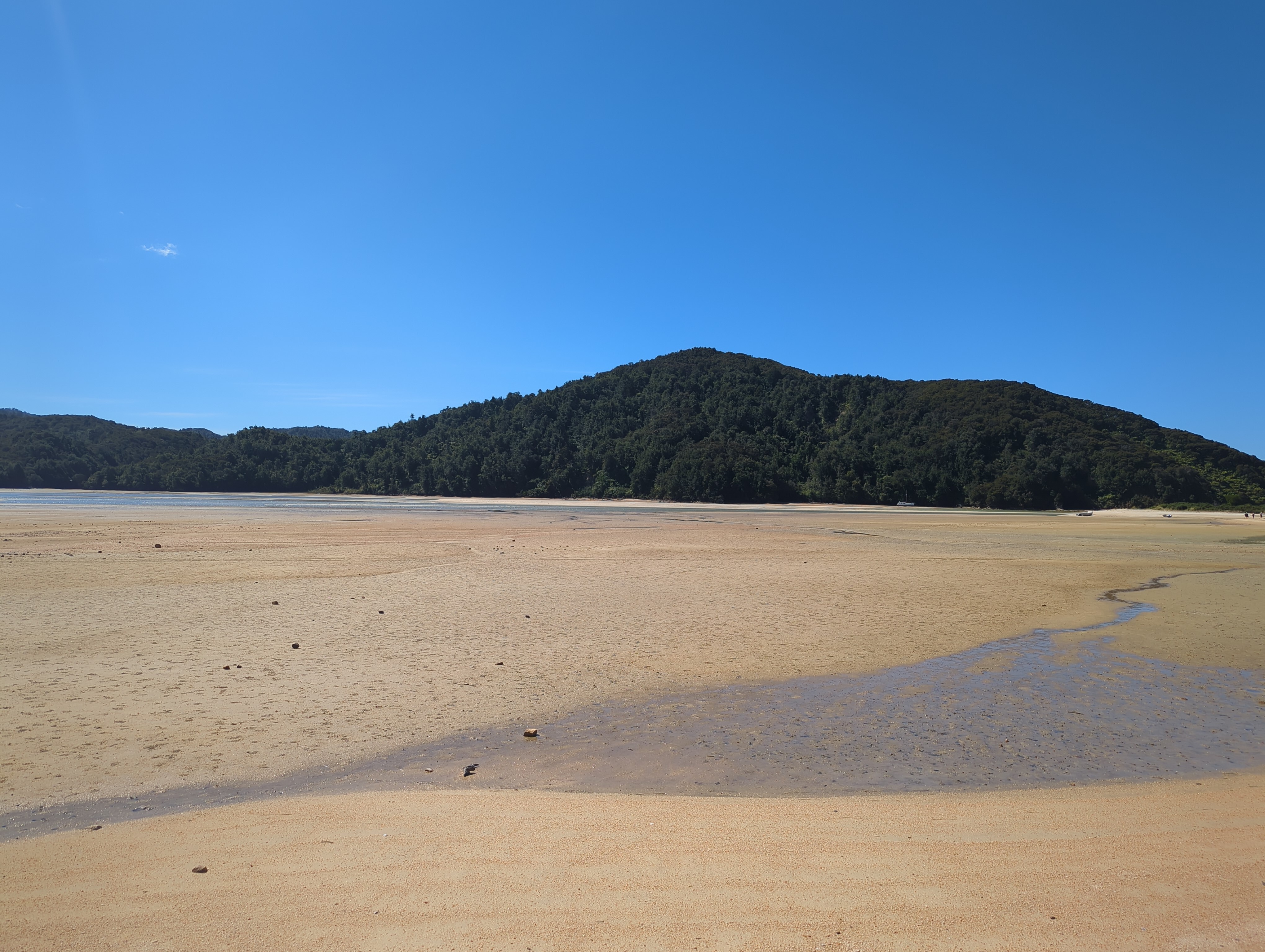Photo of Awaroa inlet at low tide, with mostly bare sand and patches of rivers and ponds