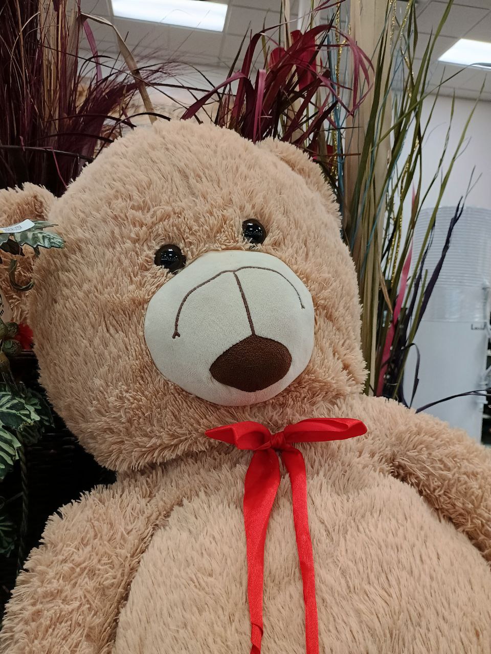 A light tan teddy bear with a red ribbon around its neck. The offwhite piece that makes up the snout, with the nose and mouth on it, have been attached upside-down. The mouth, intended to be smiling, now looks like its frowning, and the nose sits below.