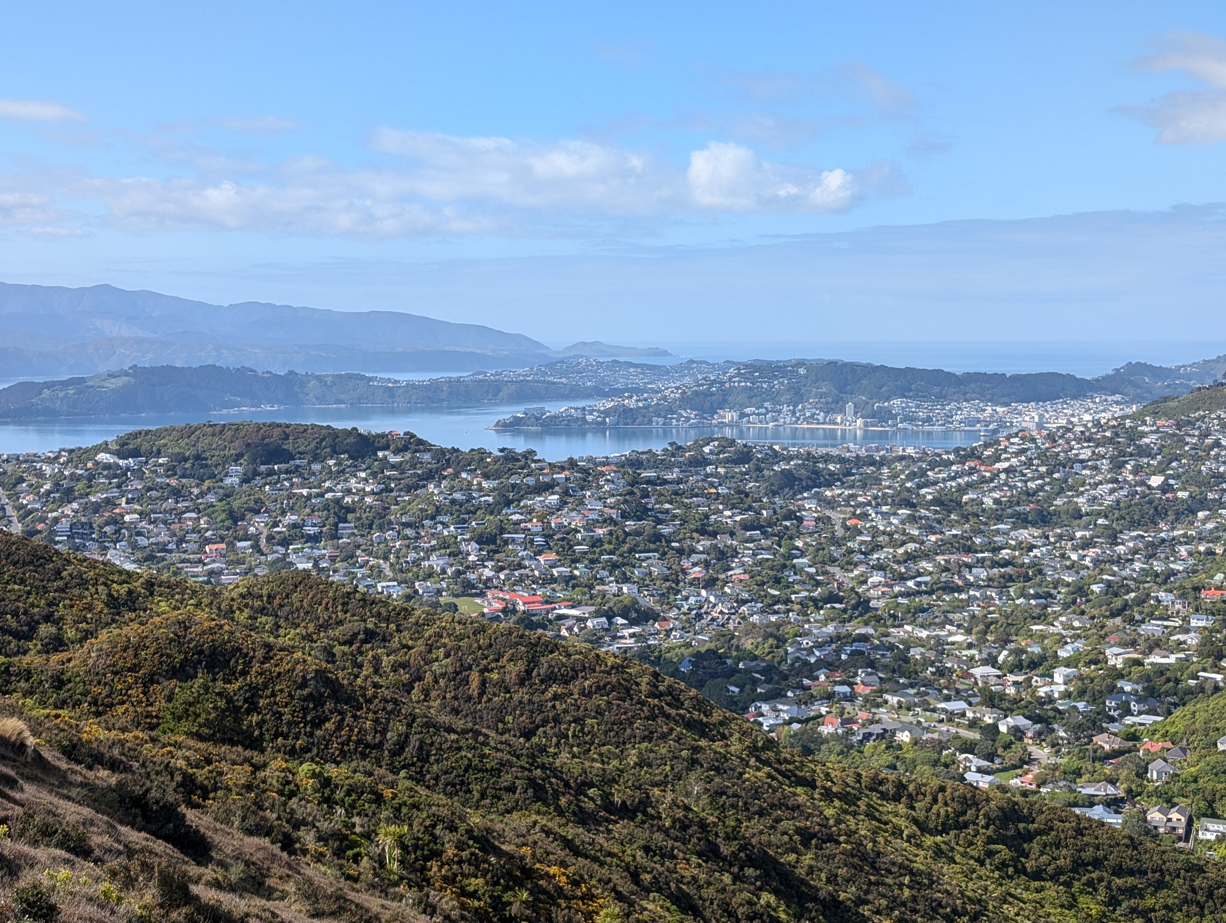 Wellington from the Skyline Walkway