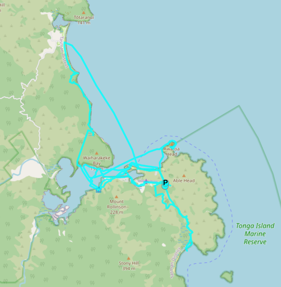 map of Awaroa with line on it showing where I went