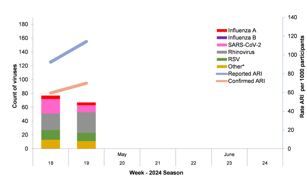 graph of flu tracking as described above. Graph has two weeks of data with the second one incomplete, and shows the breakdown of virus. COVID is the largest one but there is also Influenza A, Rhinovirus, and RSV in decent amounts. Graph also has another axis showing the rate of reported illness of study participants and the confirmed rate of illness (after testing). Both have increased from the first to the second week 
