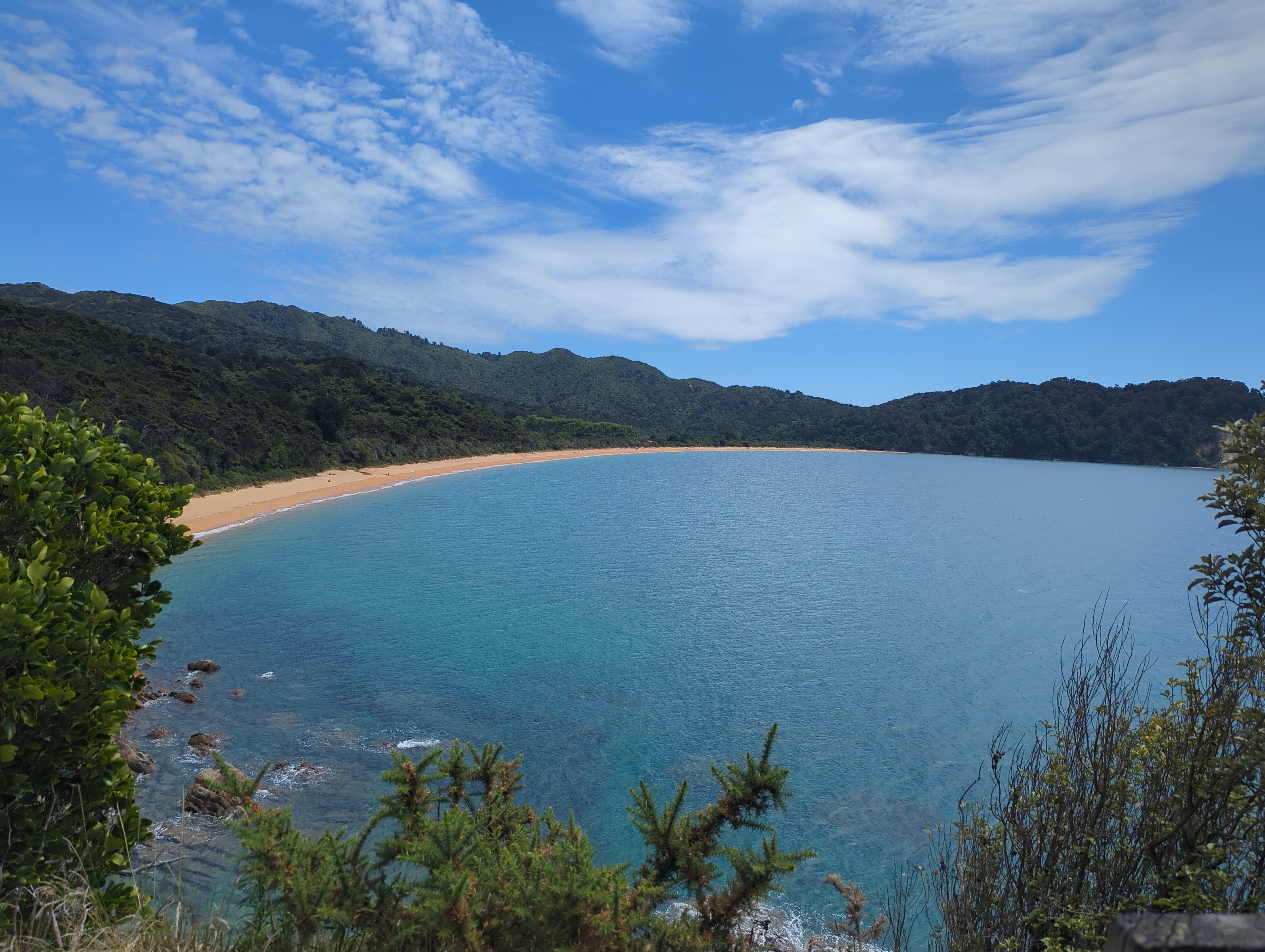 Photo of Tōtaranui beach from a nearby hill